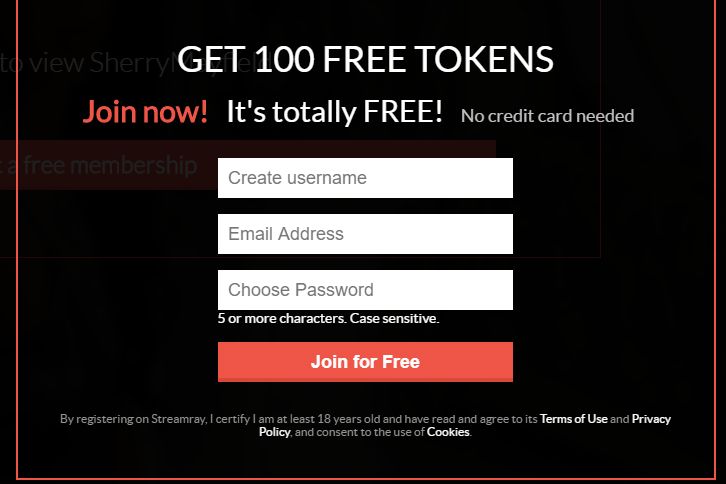 Streamray Prices